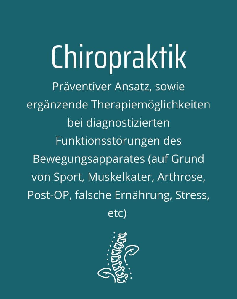 Chiropraktik Hund Katze Remscheid